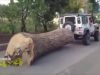 4×4 Extreme Test | Winch Defender