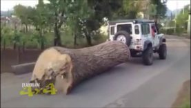 4×4 Extreme Test | Winch Defender