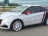 Peugeot 208 GTi Nove di Andreucci Andreussi