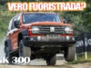 GWM TANK 300